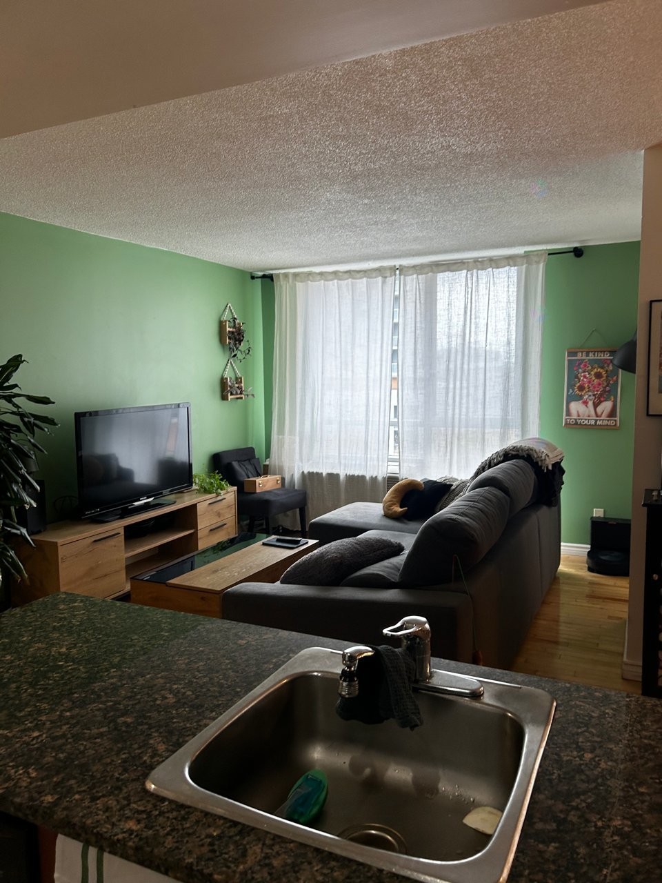 Living Room - 553-98 Rue Charlotte, Montréal (Ville-Marie), QC - Indoor