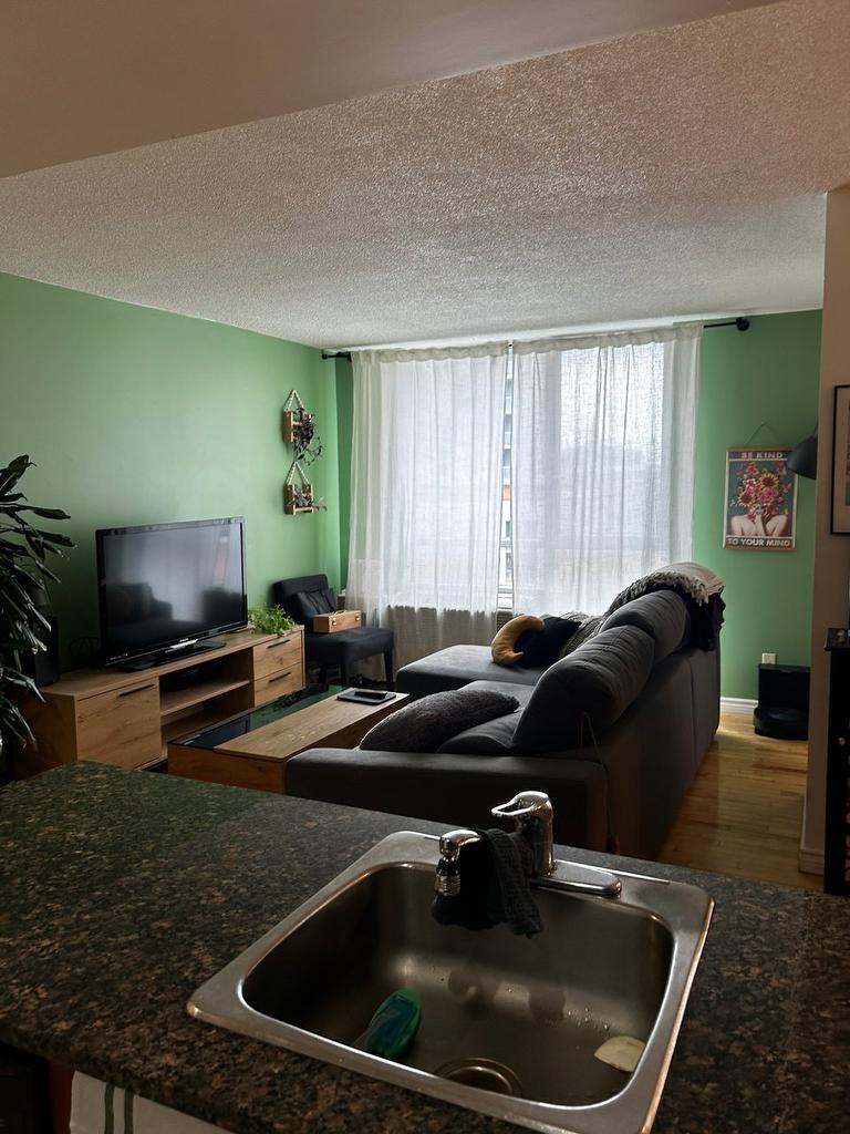 Living room - 553-98 Rue Charlotte, Montréal (Ville-Marie), QC - Indoor