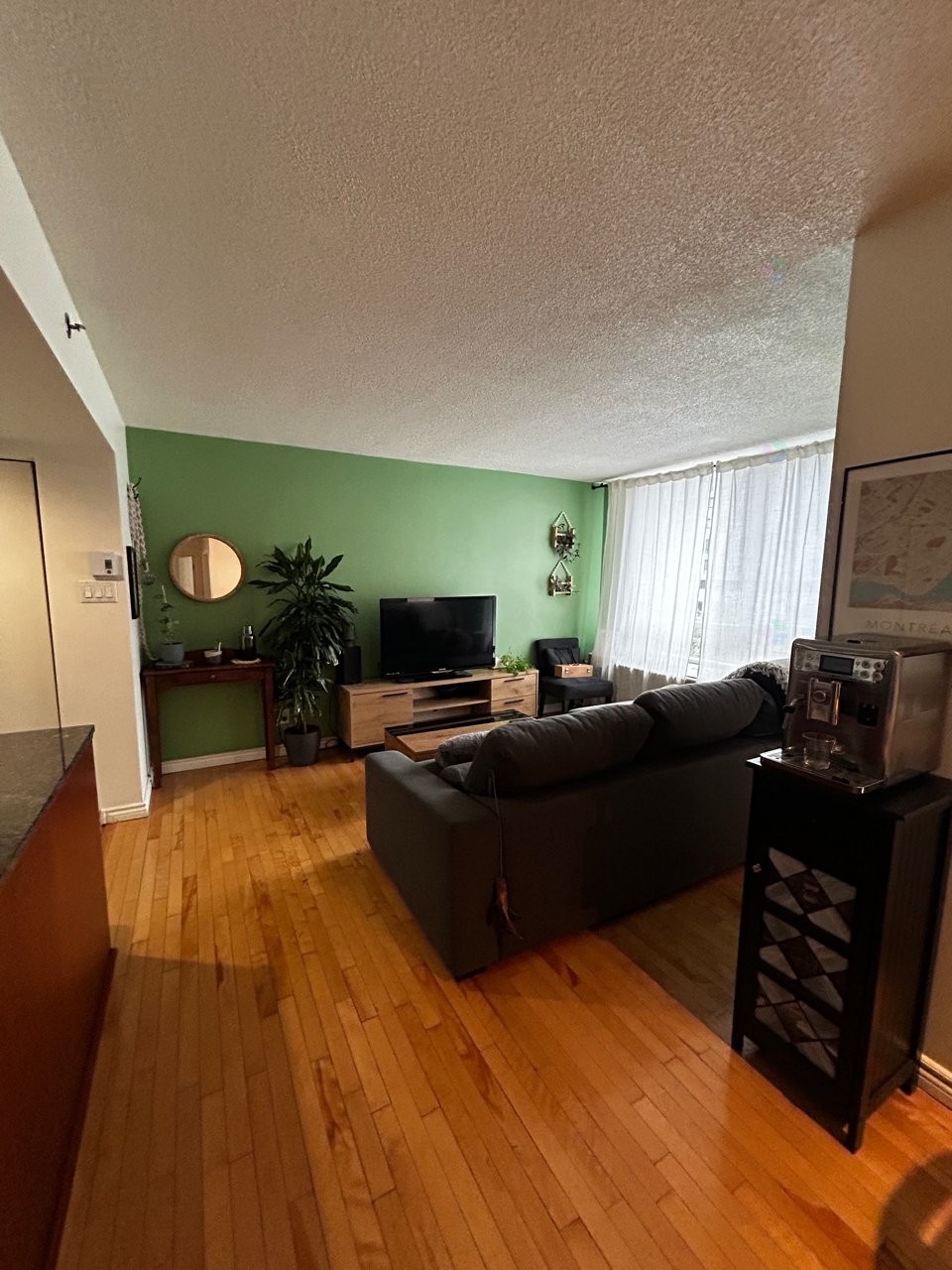 Living Room - 553-98 Rue Charlotte, Montréal (Ville-Marie), QC - Indoor Photo Showing Living Room