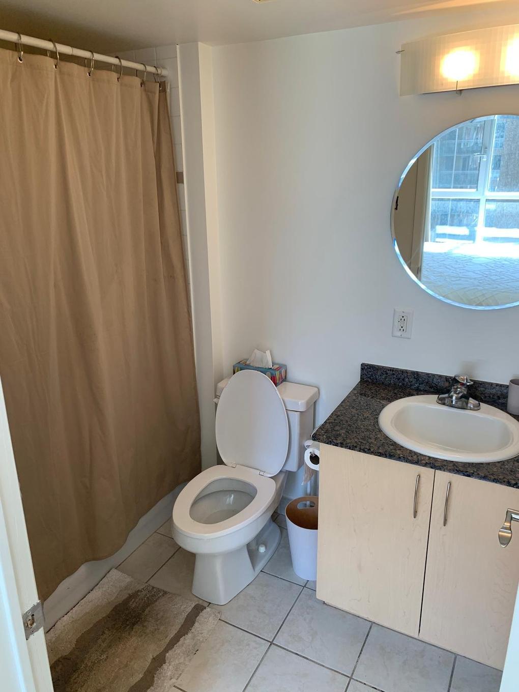 Ensuite bathroom - 553-98 Rue Charlotte, Montréal (Ville-Marie), QC - Indoor Photo Showing Bathroom