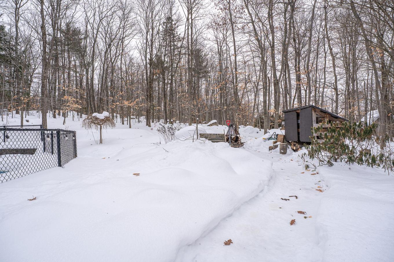 Backyard - 390 Rue Du Clos-Du-Meunier, Prévost, QC - Outdoor