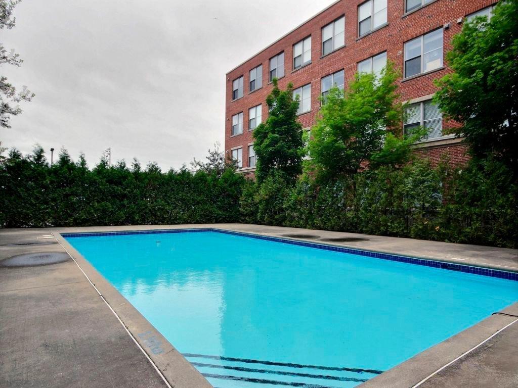 Piscine - 302-795 1Re Avenue, Montréal (Lachine), QC - Outdoor With In Ground Pool