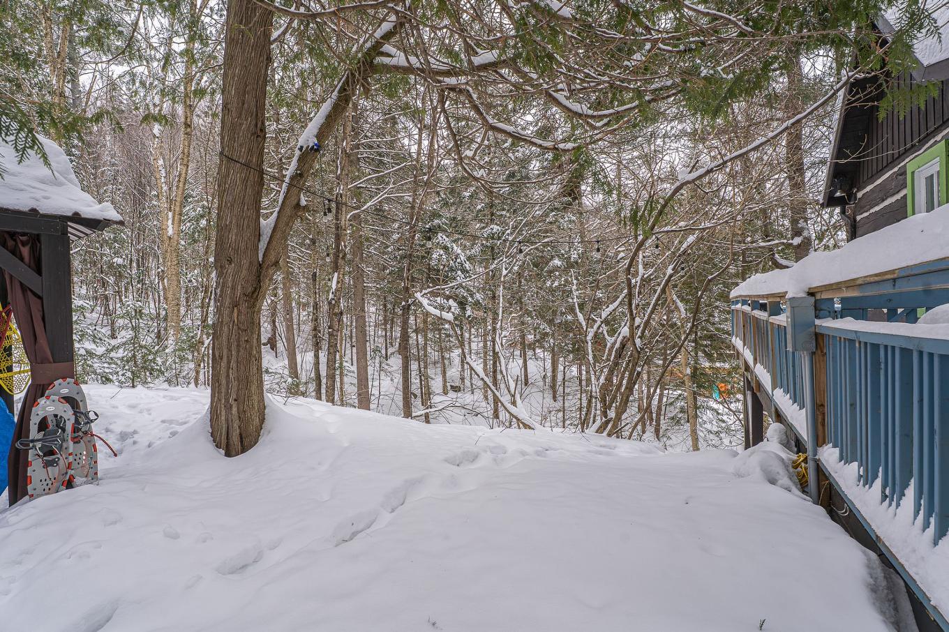 Terre/Terrain - 1330 Mtée Gagnon, Val-David, QC - Outdoor