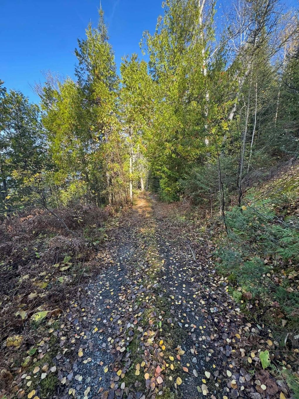 Backyard - 1064 Ch. B.-Voisine, Rouyn-Noranda, QC - Outdoor With View