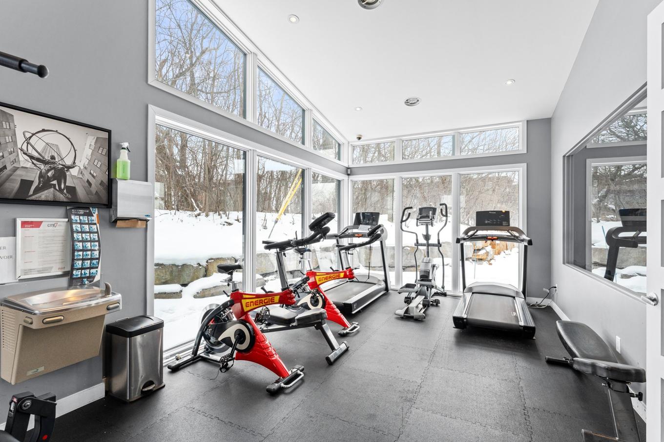 Autre - 411-17905 Rue Du Grand-Prix, Mirabel, QC - Indoor Photo Showing Gym Room
