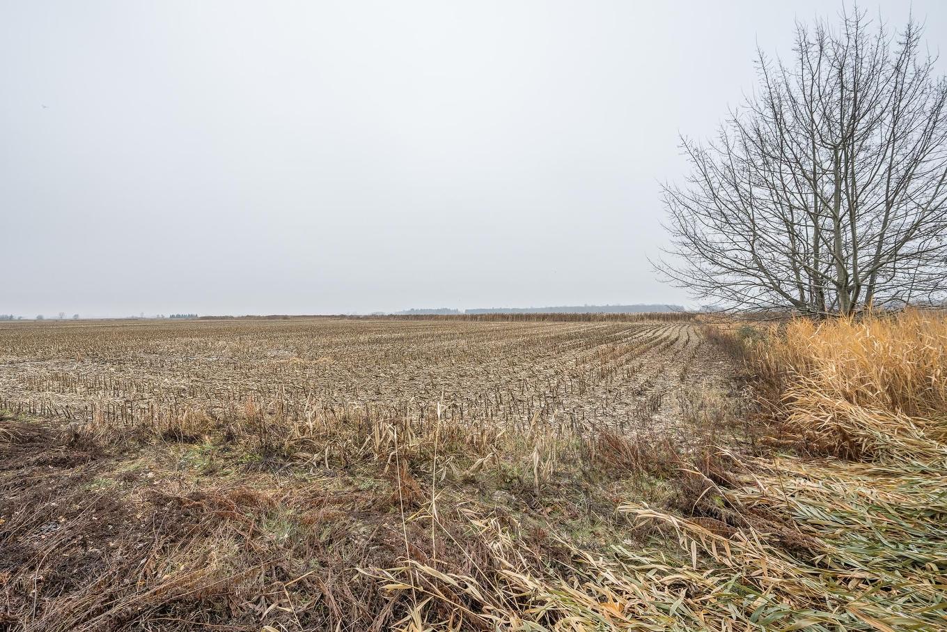 View - 1924 94E Avenue, Saint-Blaise-Sur-Richelieu, QC - Outdoor With View