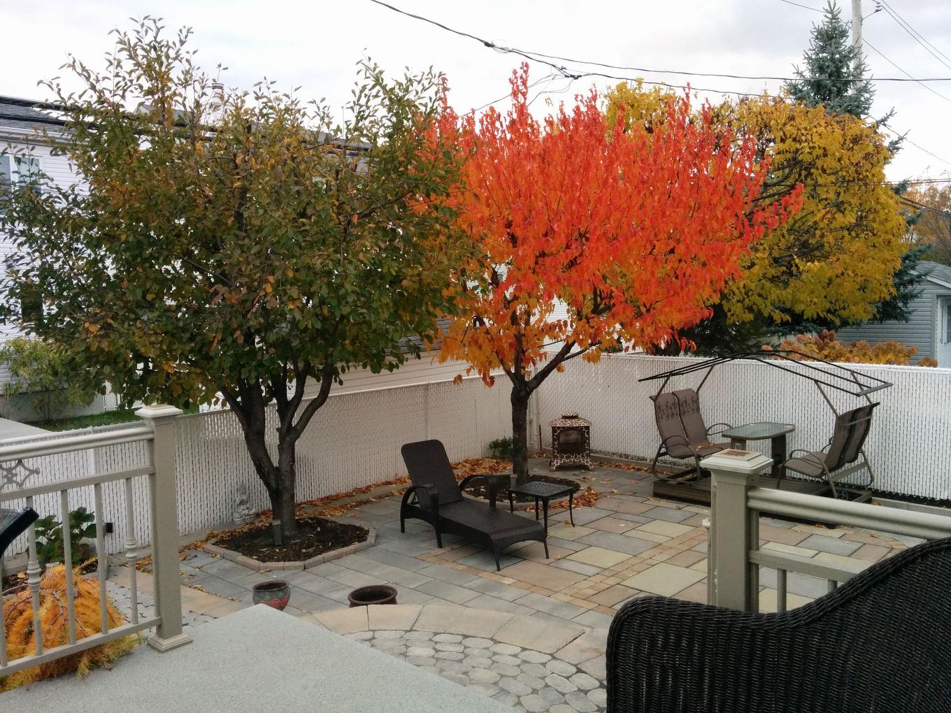 Cour - 929 Rue Claudel, Repentigny (Repentigny), QC - Outdoor