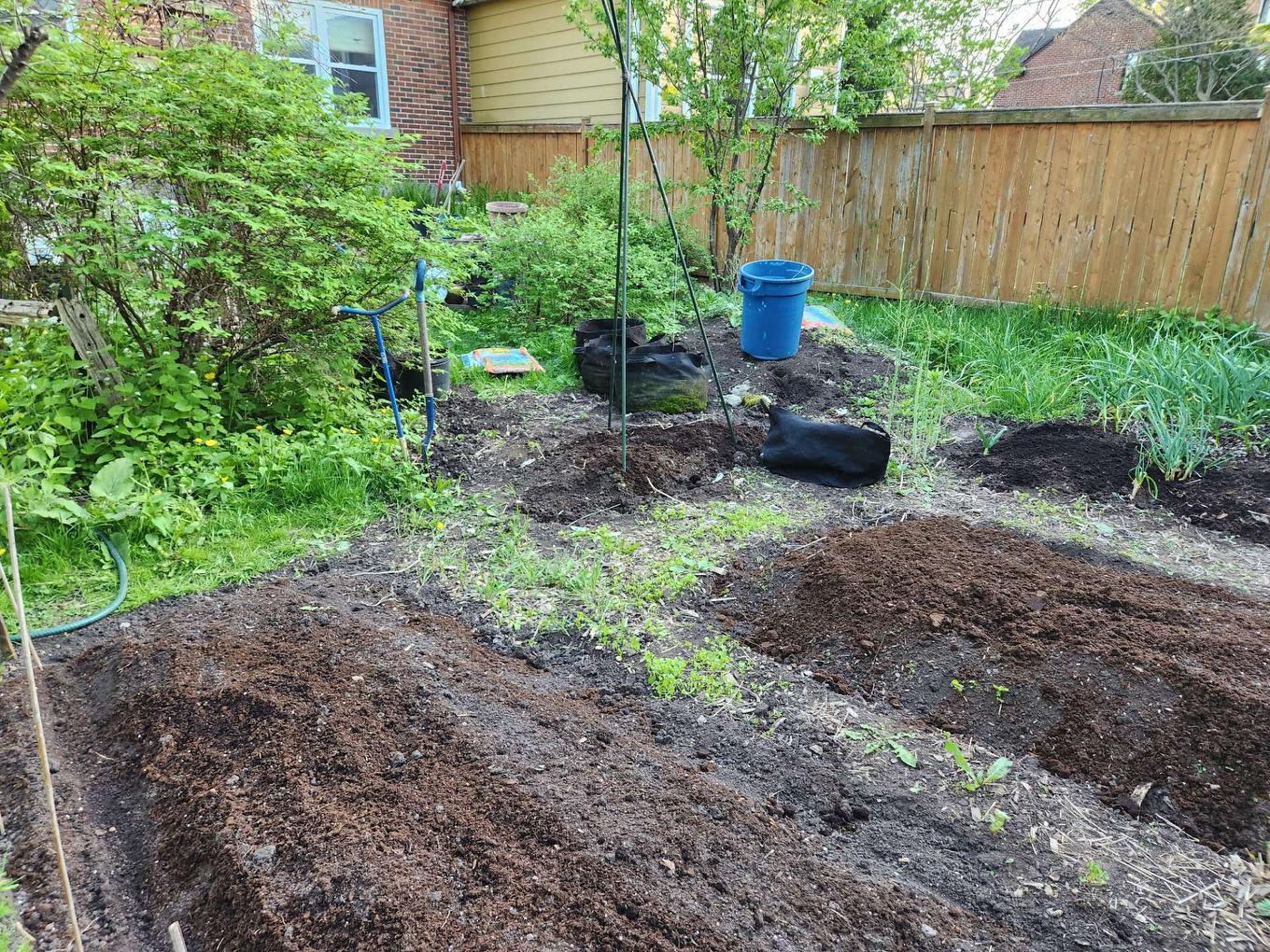 Cour - 3680 Rue Broadway, Montréal (Lachine), QC - Outdoor