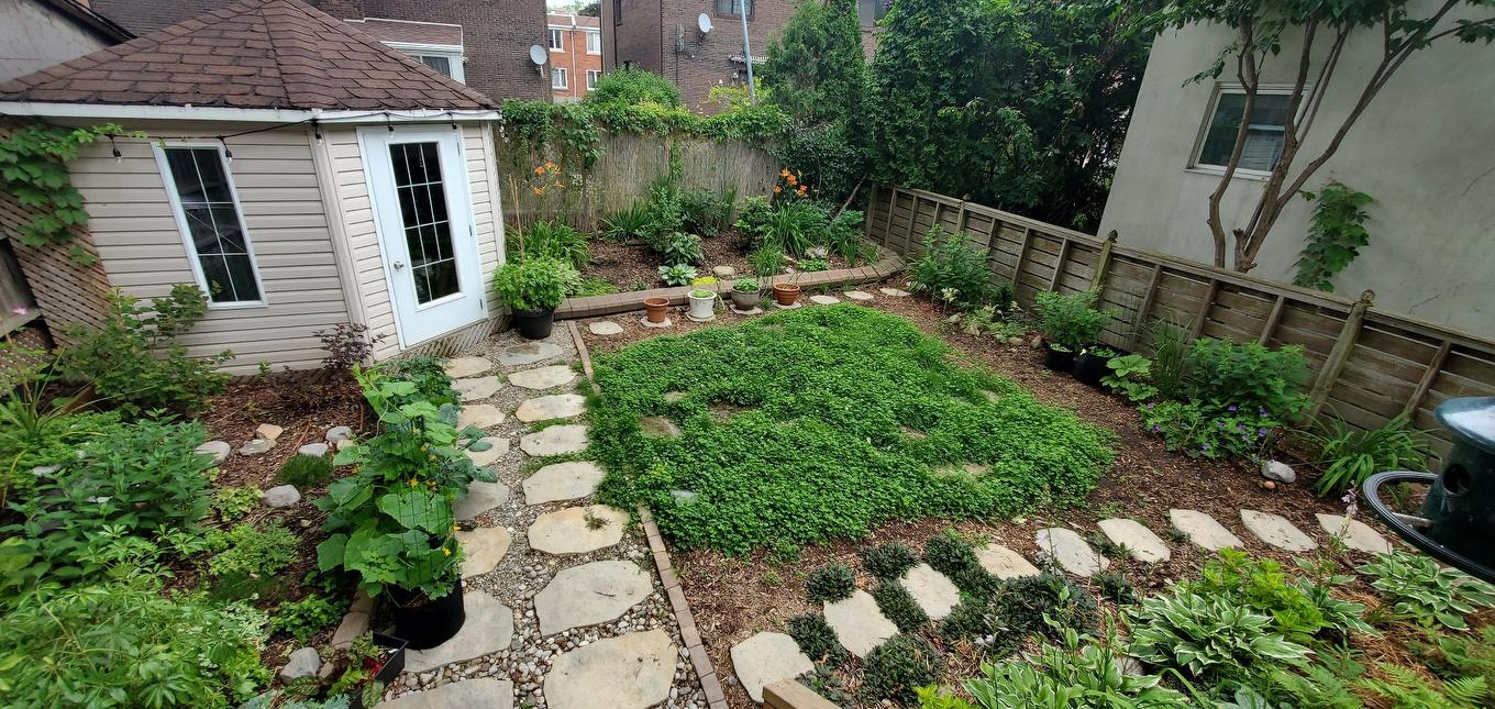 Backyard - 4057 Av. Madison, Montréal (Côte-Des-Neiges/Notre-Dame-De-Grâce), QC - Outdoor