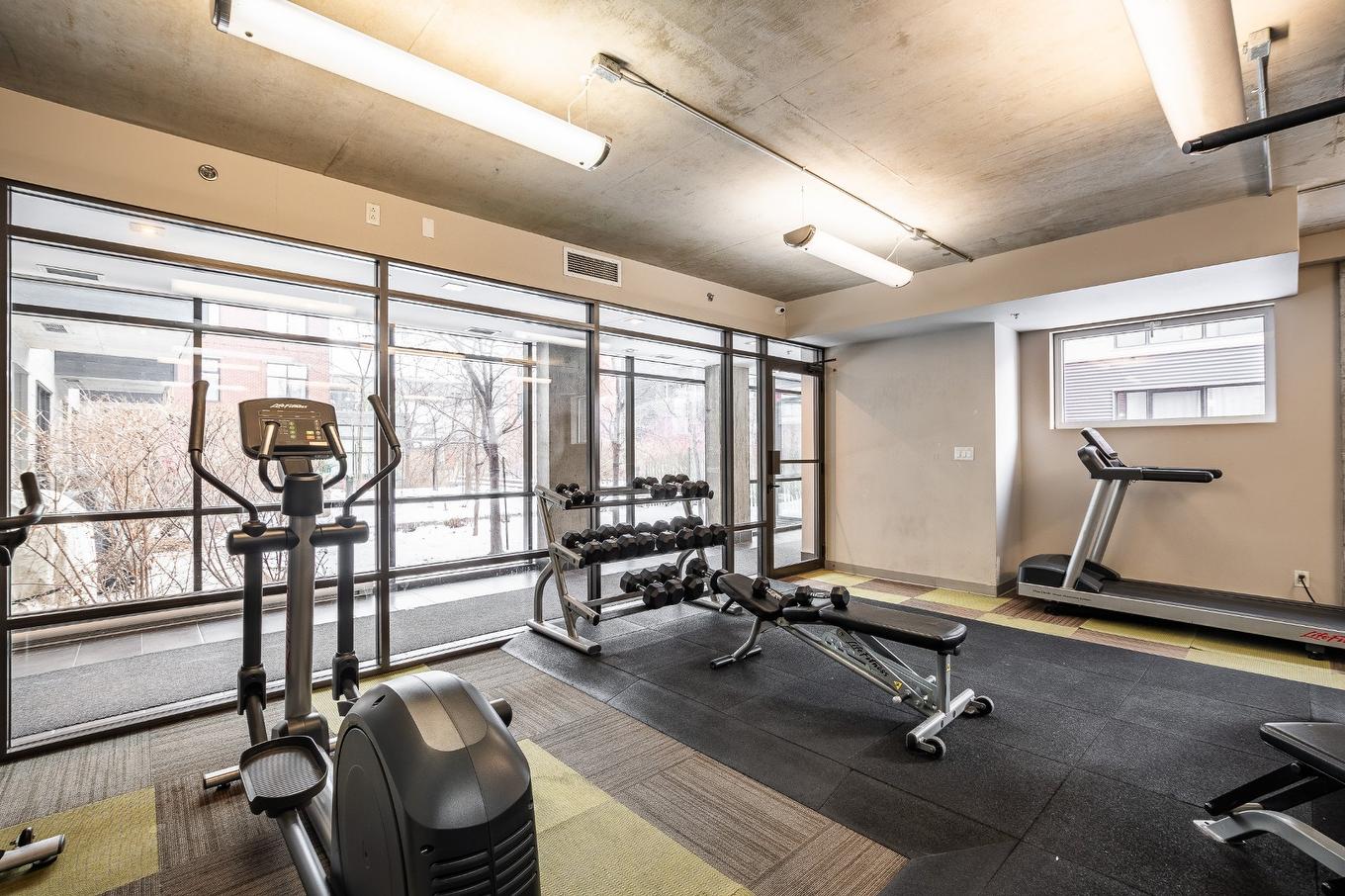 Exercise room - 412-377 Rue Des Seigneurs, Montréal (Le Sud-Ouest), QC - Indoor Photo Showing Gym Room