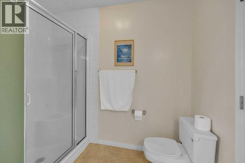 550 Copperfield Boulevard Se, Calgary, AB - Indoor Photo Showing Bathroom