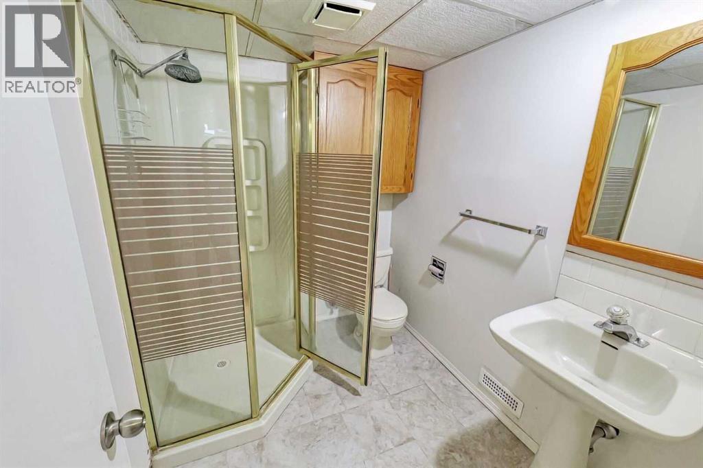 20 Falton Way Ne, Calgary, AB - Indoor Photo Showing Bathroom