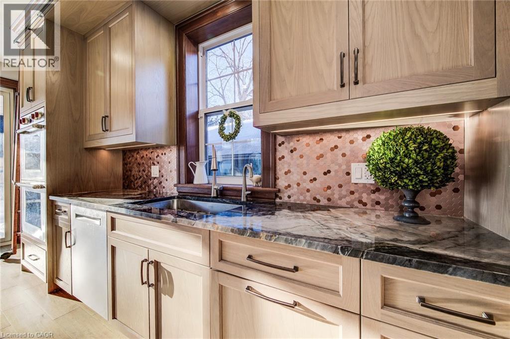 107 Earl Street, Kitchener, ON - Indoor Photo Showing Kitchen With Upgraded Kitchen