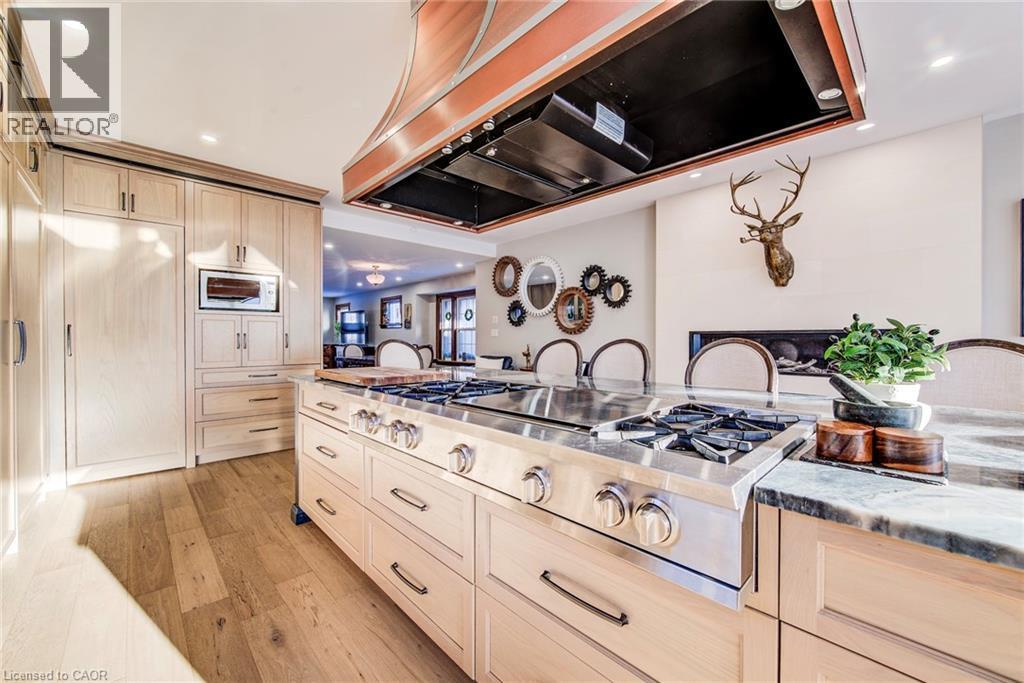 107 Earl Street, Kitchener, ON - Indoor Photo Showing Kitchen