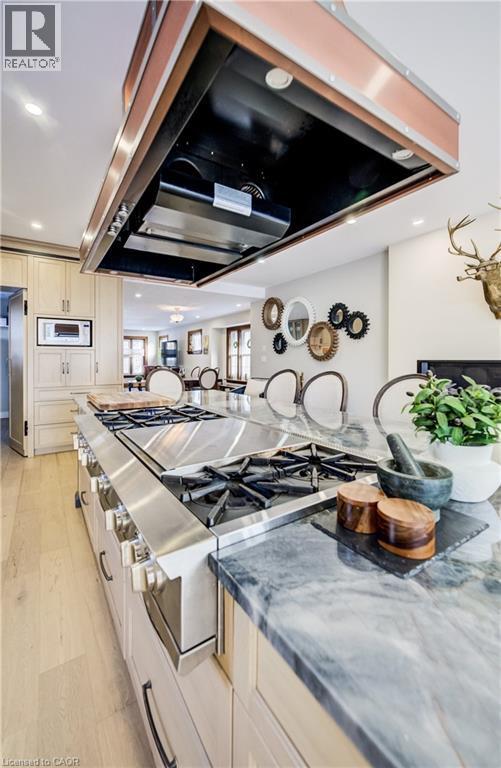 107 Earl Street, Kitchener, ON - Indoor Photo Showing Kitchen