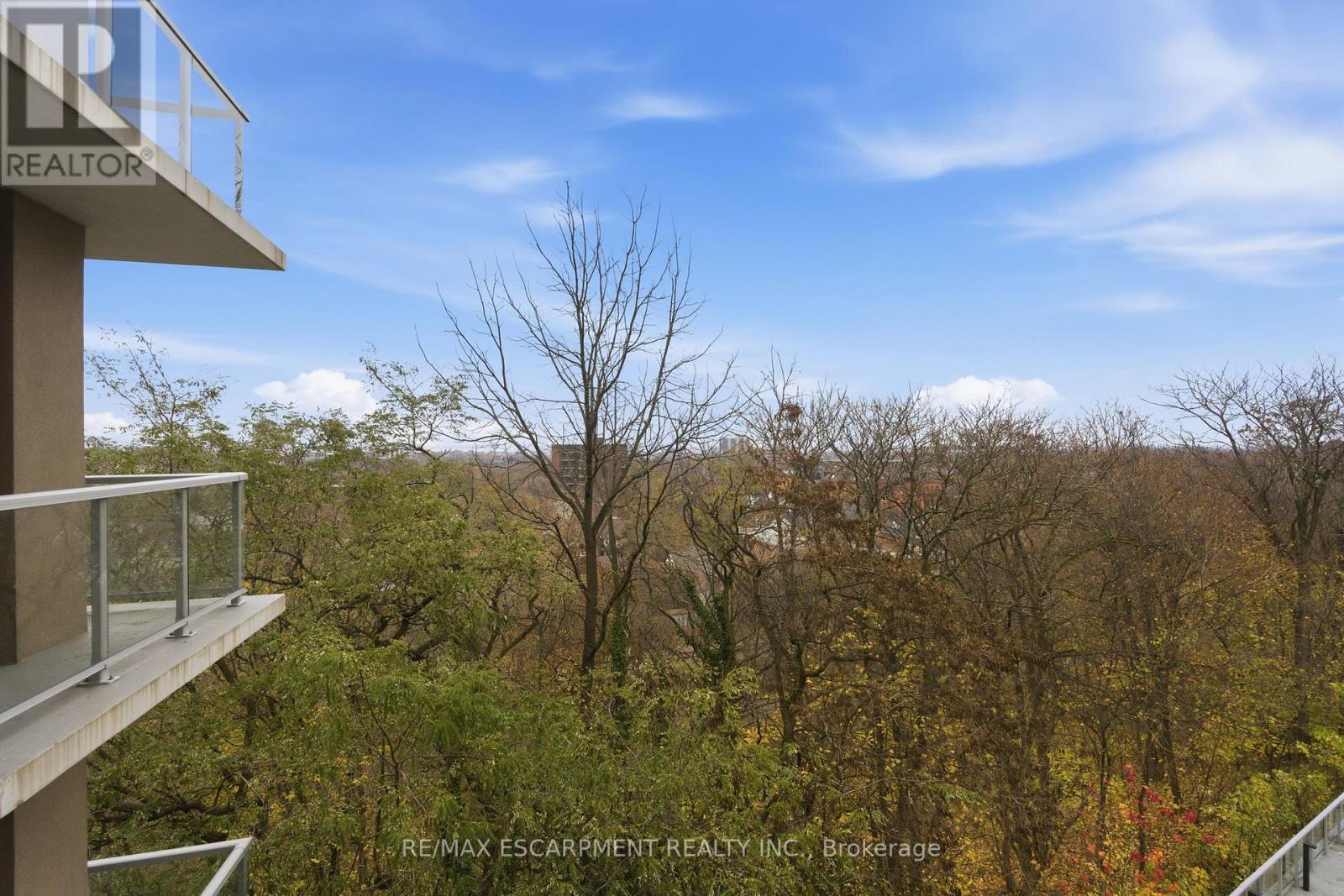 308 - 455 Charlton Avenue, Hamilton, ON - Outdoor With Balcony With View