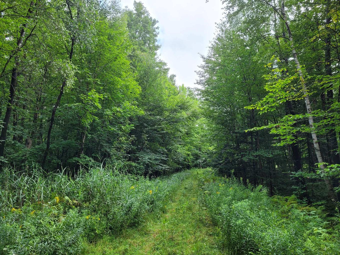 Boisé - Ch. Des Libellules, Eastman, QC