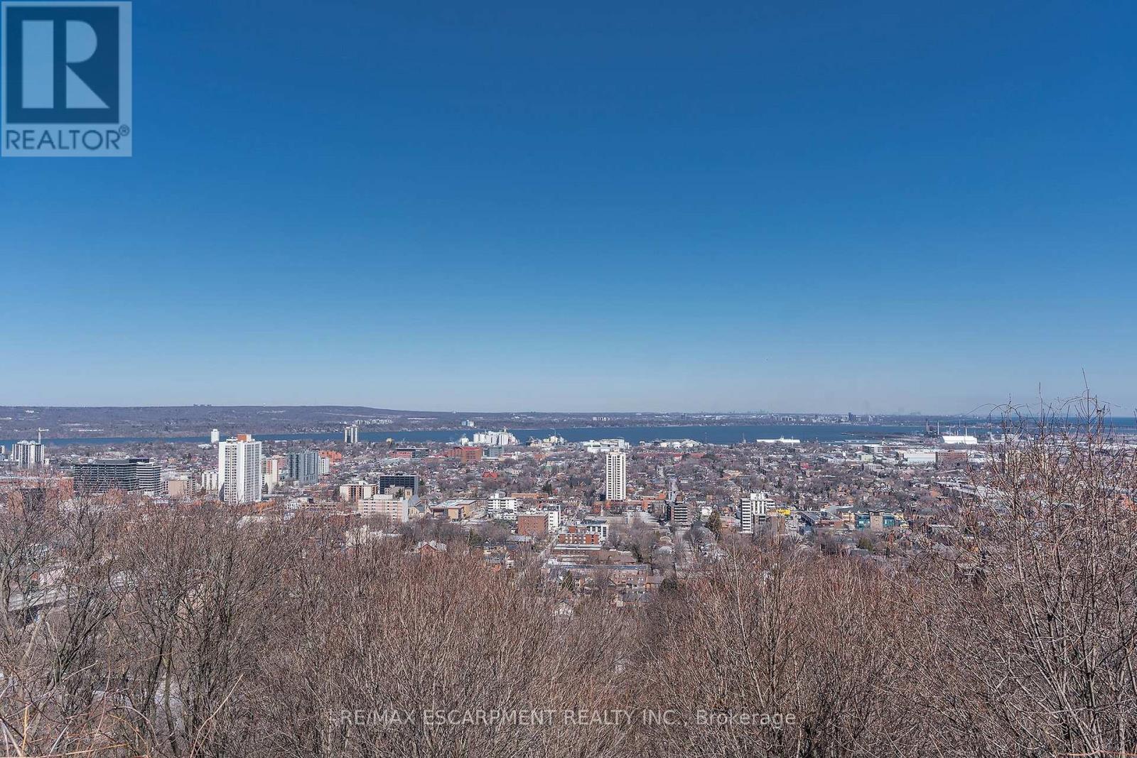 47 Mountain Park Avenue, Hamilton, ON - Outdoor With View
