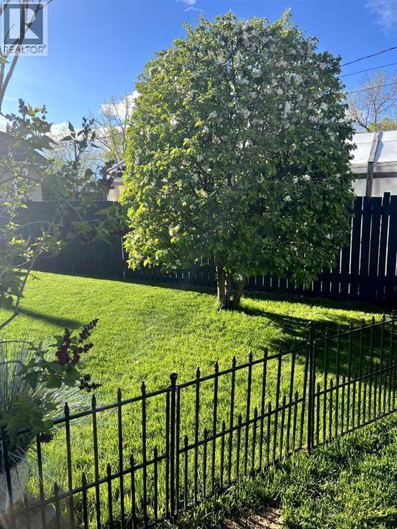 206 5 Avenue Se, Three Hills, AB - Outdoor