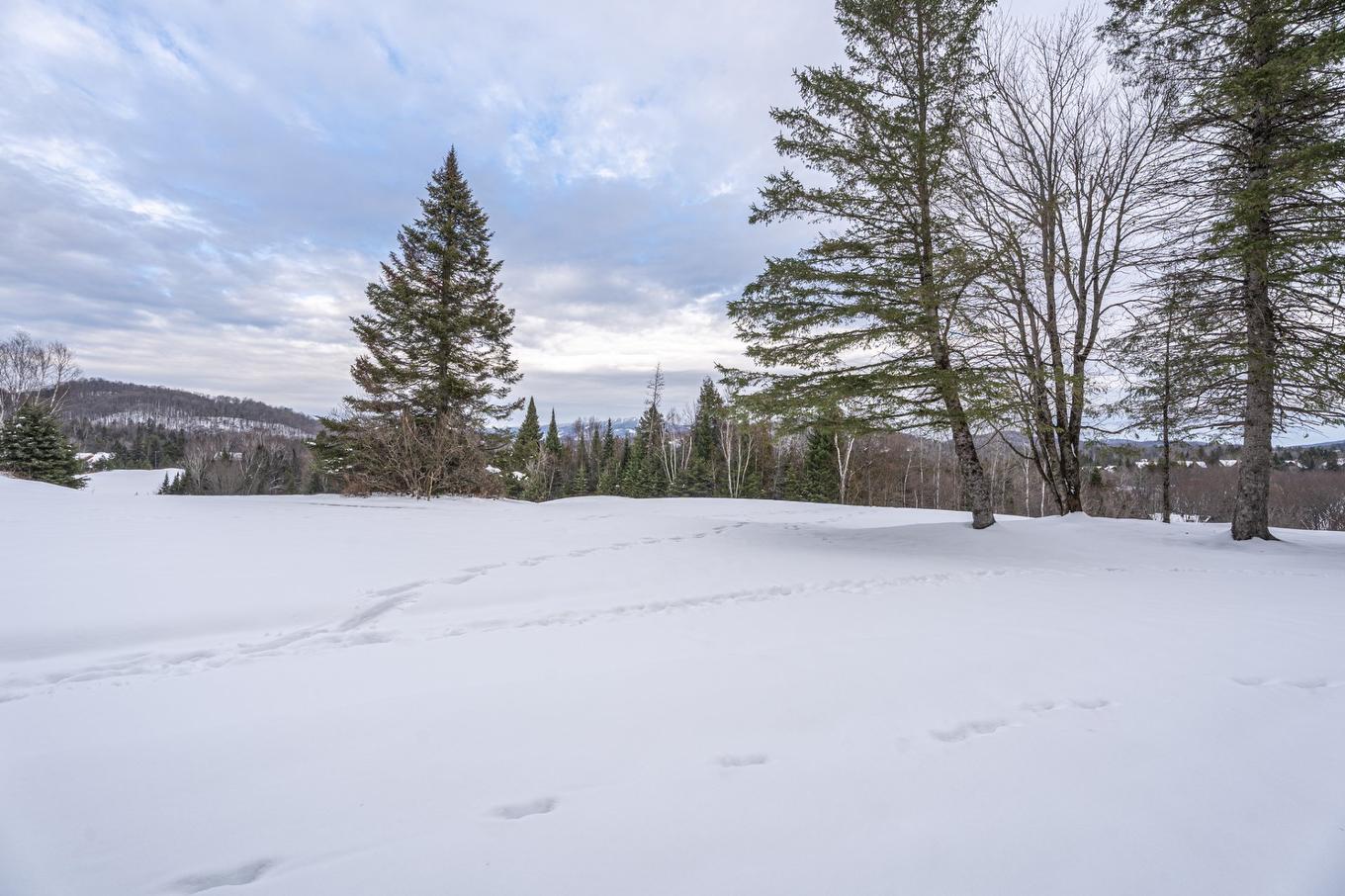 Vue - 1752 Ch. Du Golf, Mont-Tremblant, QC - Outdoor With View