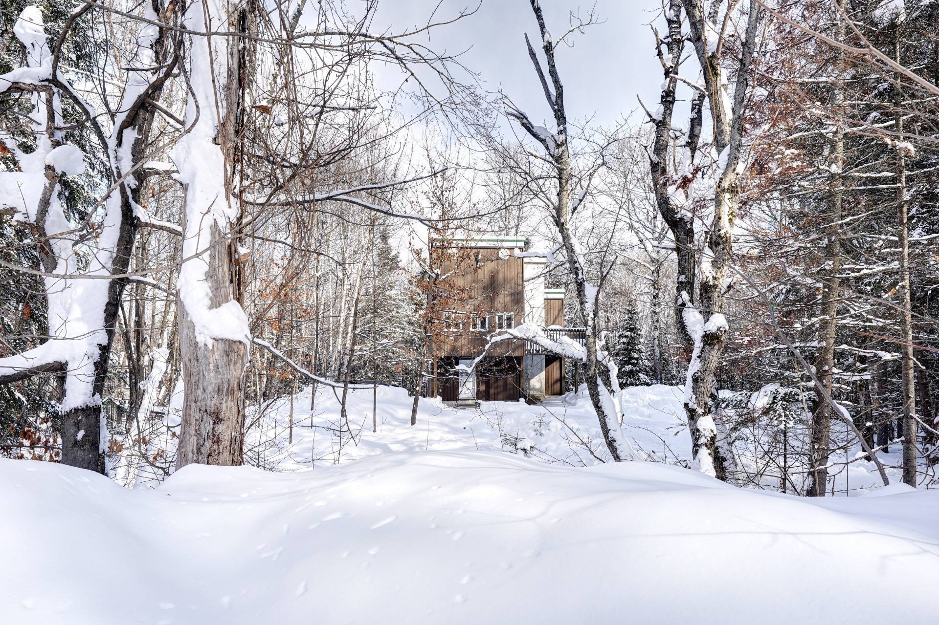 Terre/Terrain - Av. Ellis, Saint-Donat, QC