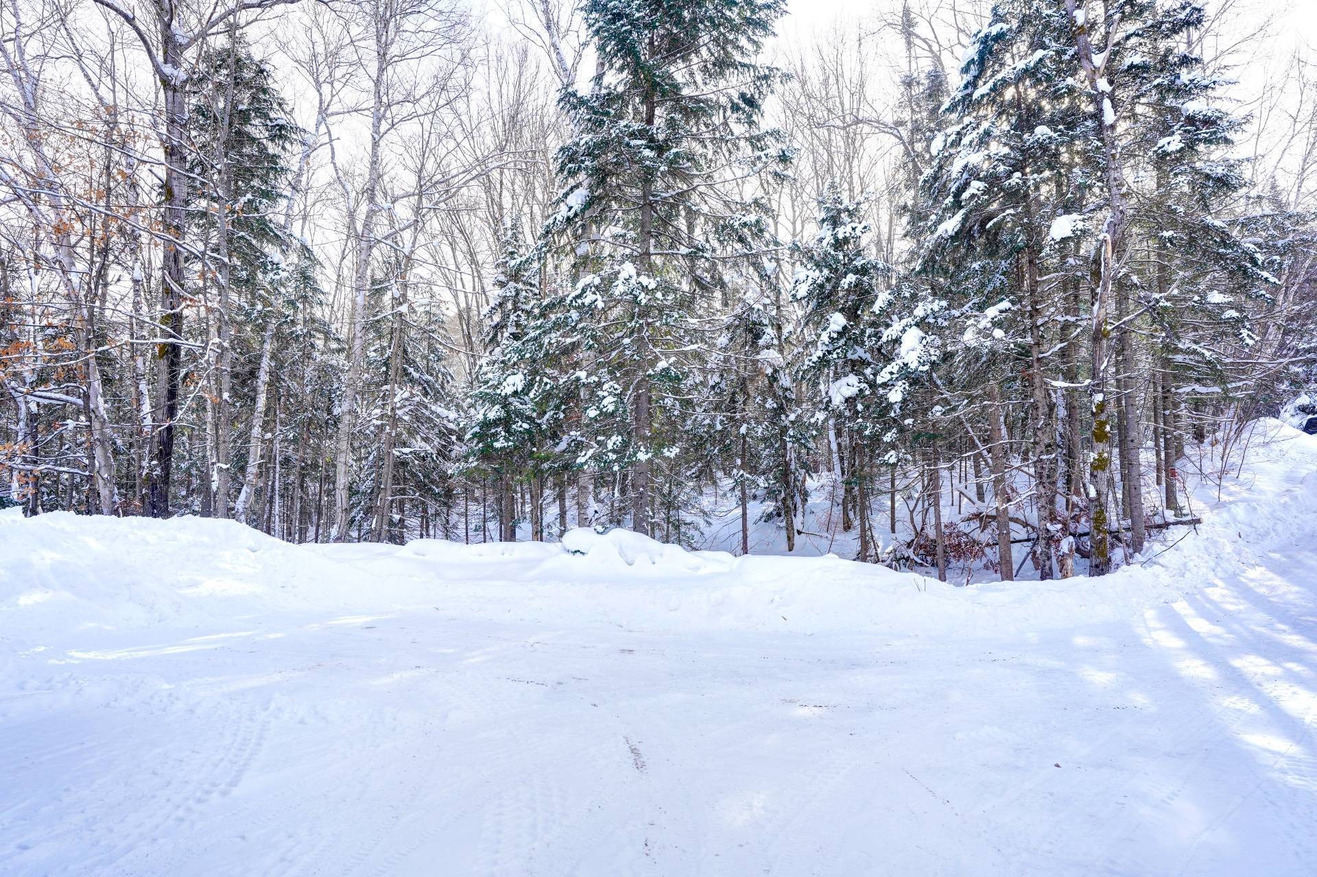 Terre/Terrain - Av. Ellis, Saint-Donat, QC