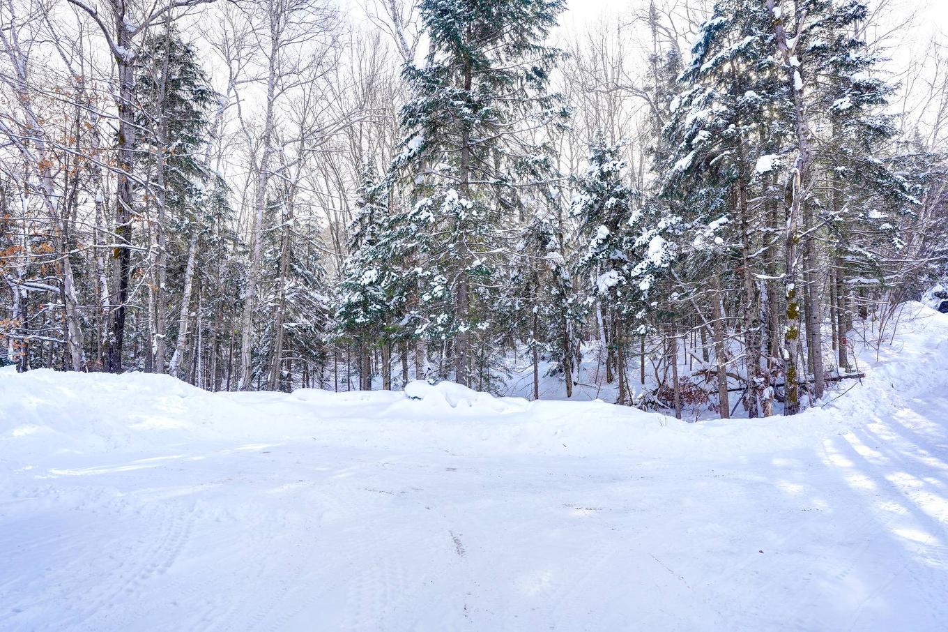 Terre/Terrain - Av. Ellis, Saint-Donat, QC