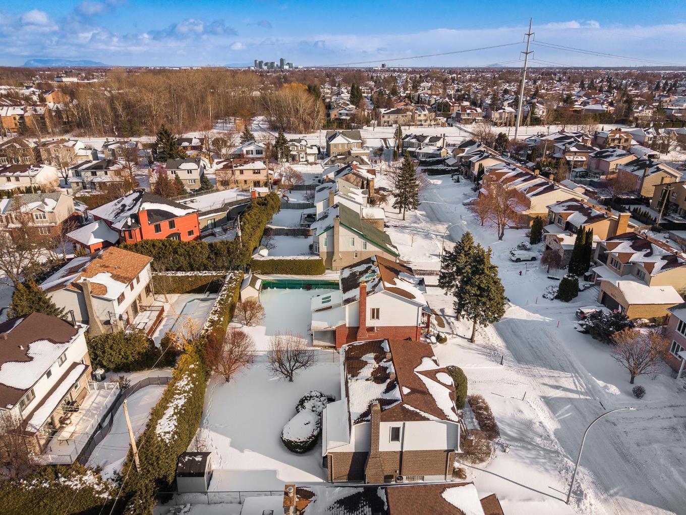 Overall view - 1095 Rue Rembrandt, Brossard, QC - Outdoor With View