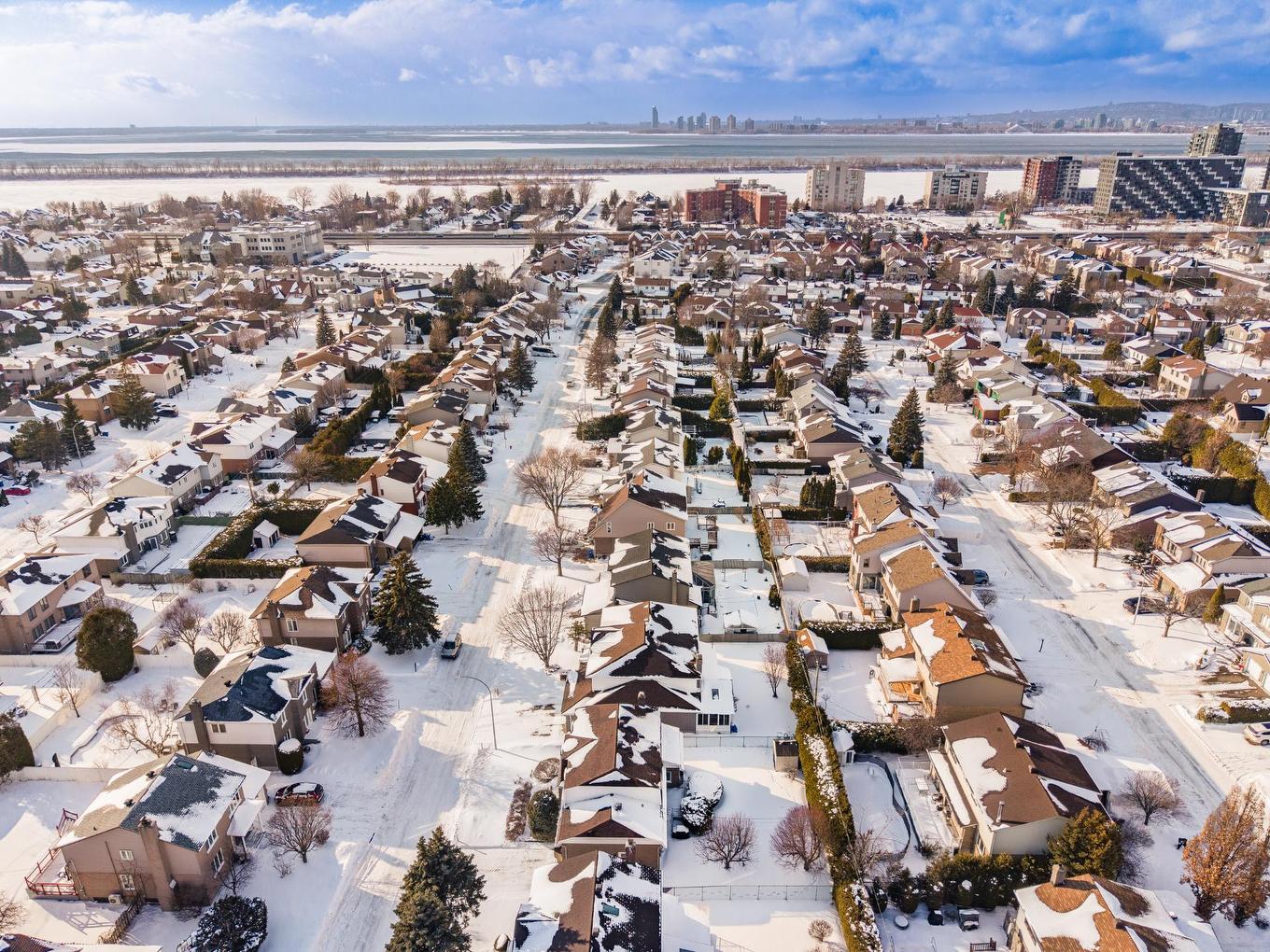 Overall view - 1095 Rue Rembrandt, Brossard, QC - Outdoor With View