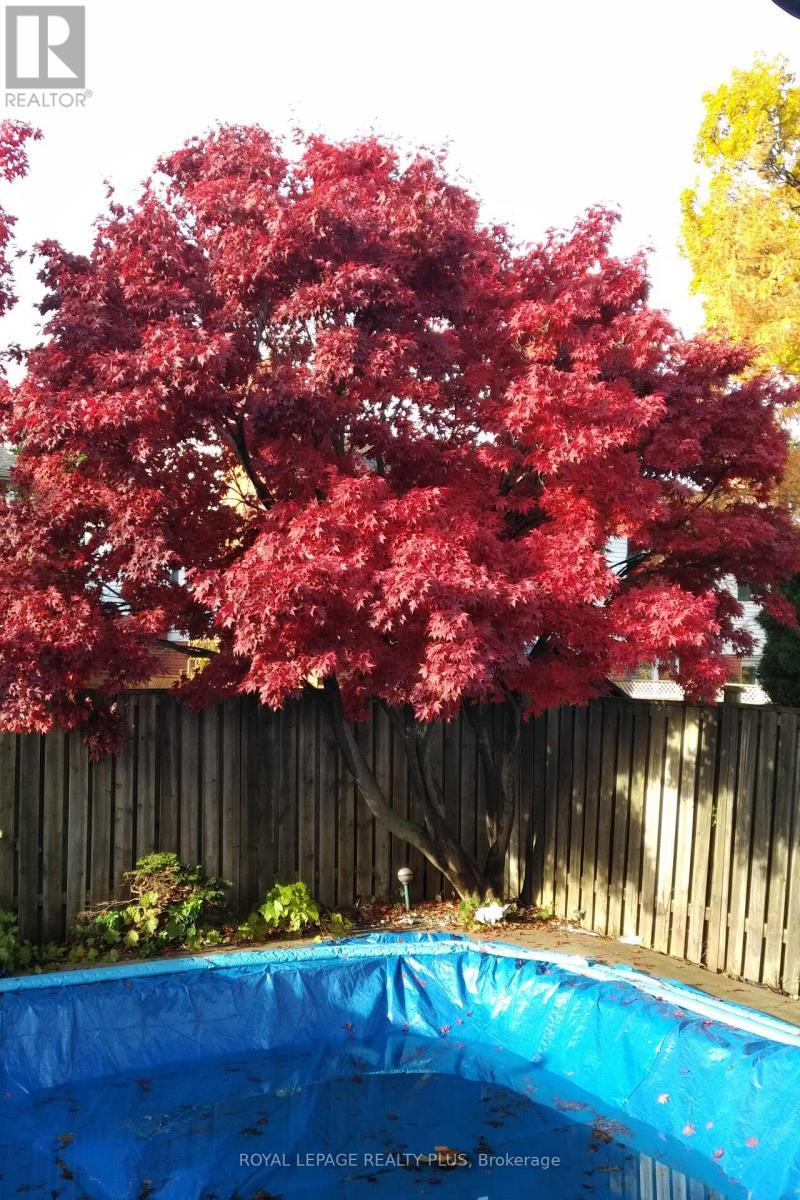 4170 Treetop Crescent, Mississauga, ON - Outdoor With In Ground Pool With Backyard