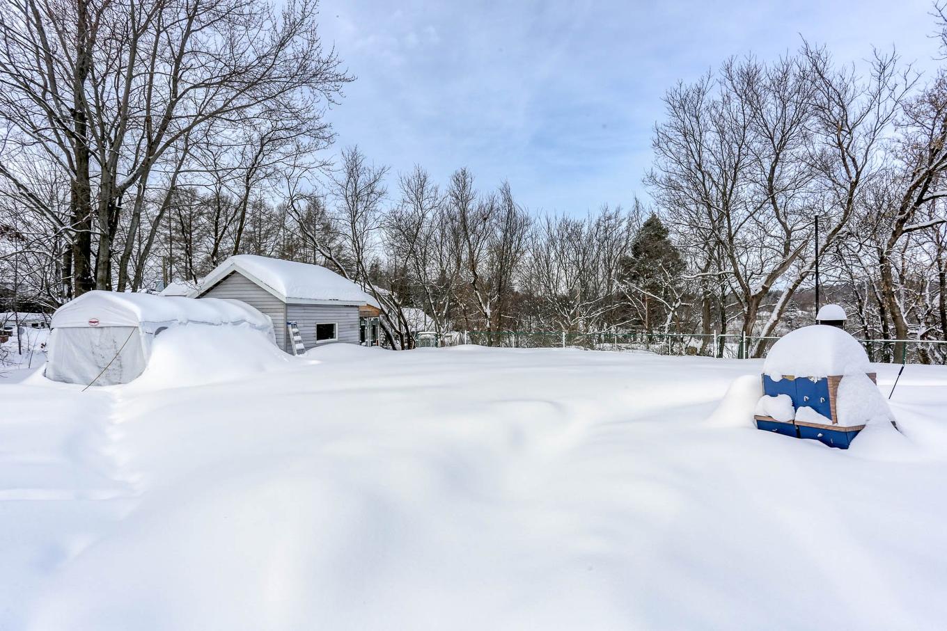 Backyard - 578 8E Avenue, Shawinigan, QC - Outdoor