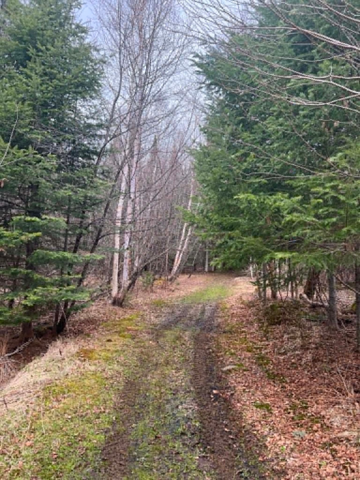 Terre/Terrain - 6560 Ch. Brassard, Saint-Zénon, QC