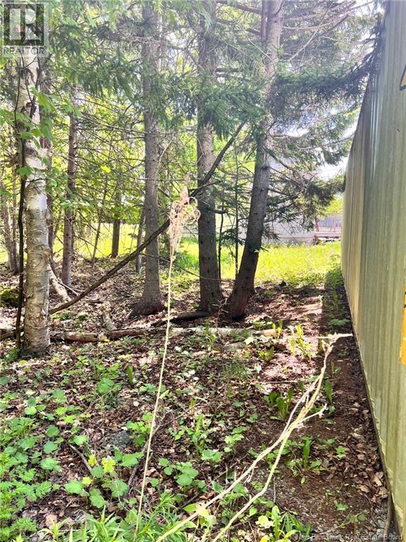 355 Hampton Road, Quispamsis, NB - Outdoor