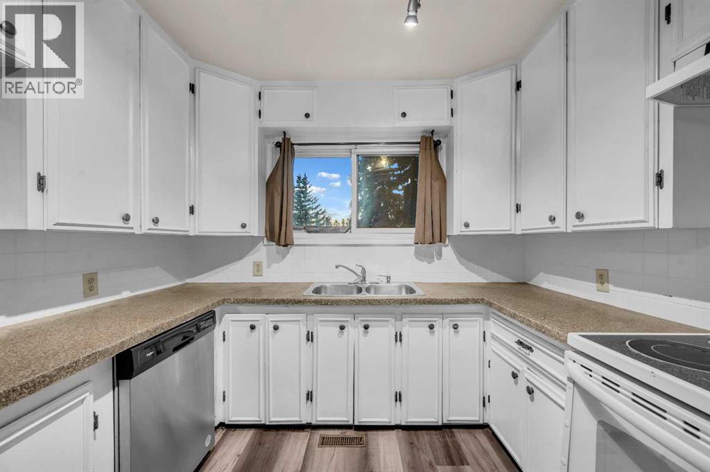 1527 52 Street Se, Calgary, AB - Indoor Photo Showing Kitchen With Double Sink