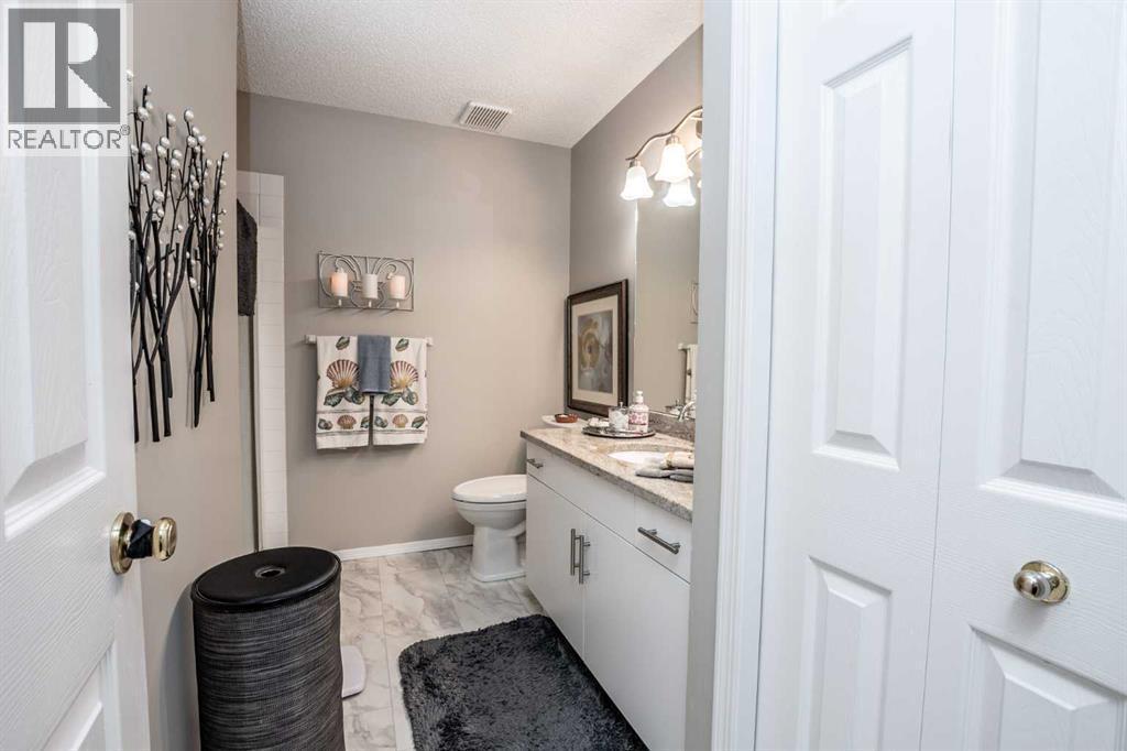 Ensuite bathroom - 509 Highview Point Nw, High River, AB - Indoor Photo Showing Bathroom