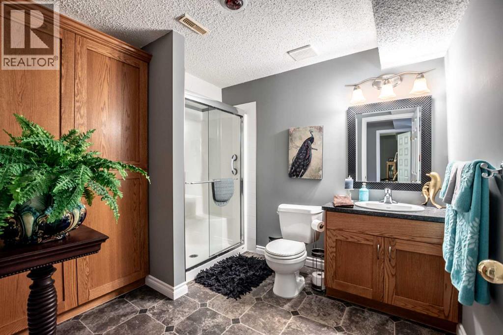 Basement Bathroom - 509 Highview Point Nw, High River, AB - Indoor Photo Showing Bathroom