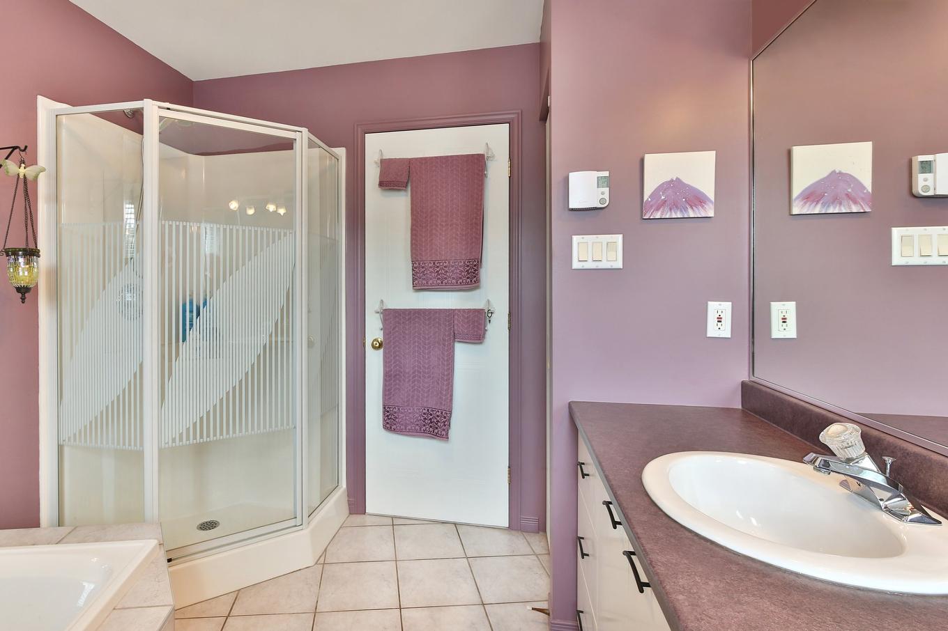 Bathroom - 292 Rue Louis-Pasteur, Saint-Jean-Sur-Richelieu, QC - Indoor Photo Showing Bathroom