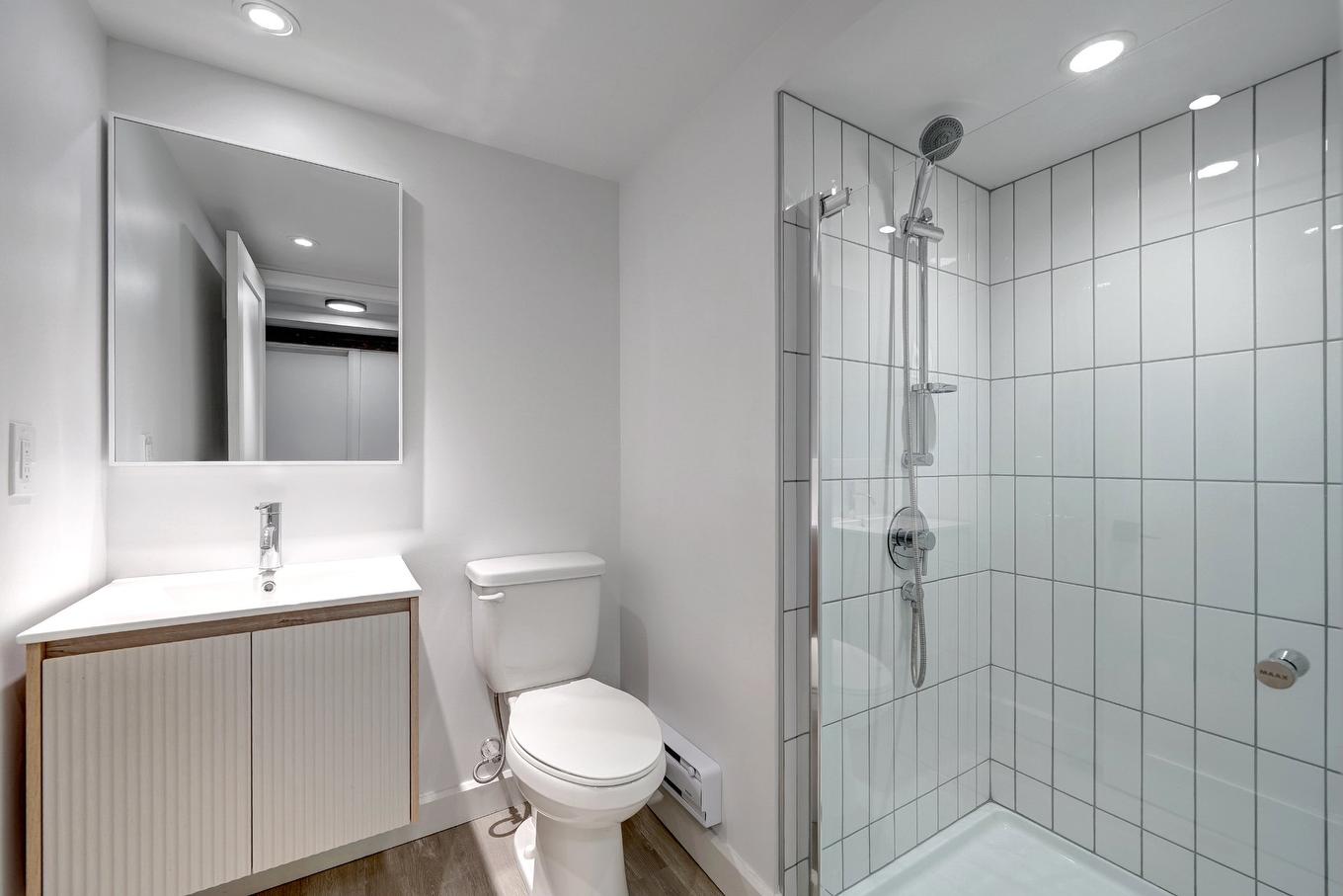 Bathroom - 6766 Av. Christophe-Colomb, Montréal (Rosemont/La Petite-Patrie), QC - Indoor Photo Showing Bathroom