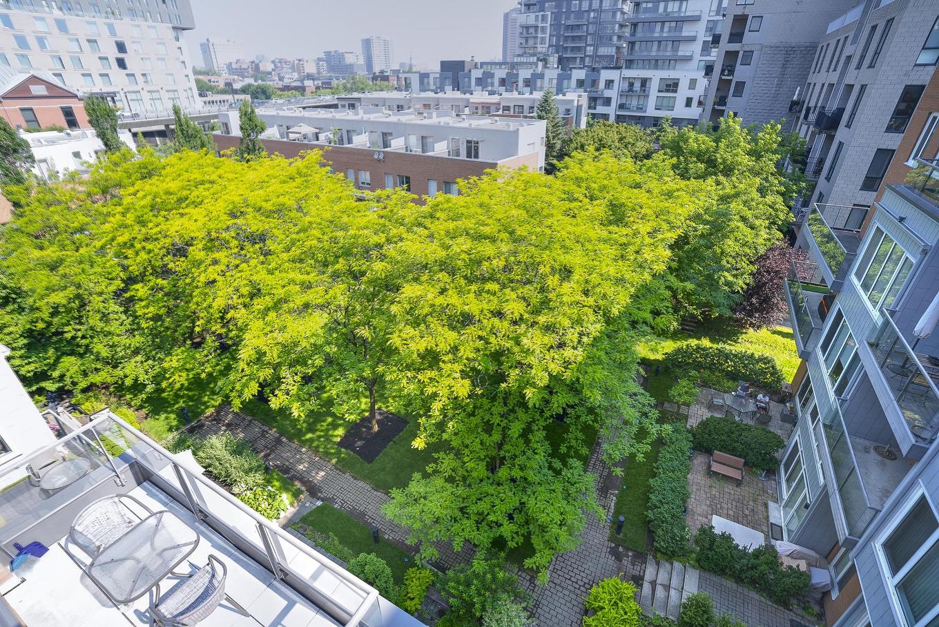 View - 604-355 Rue Berri, Montréal (Ville-Marie), QC - Outdoor