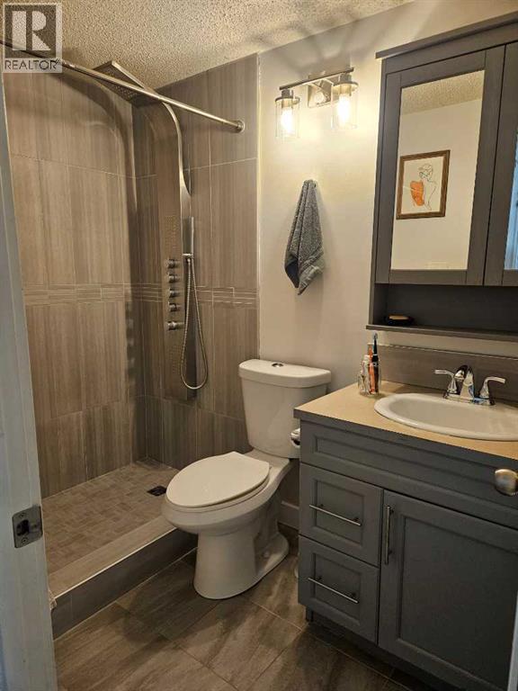 3 Piece Bathroom - 2, 630 3Rd Street, Canmore, AB - Indoor Photo Showing Bathroom