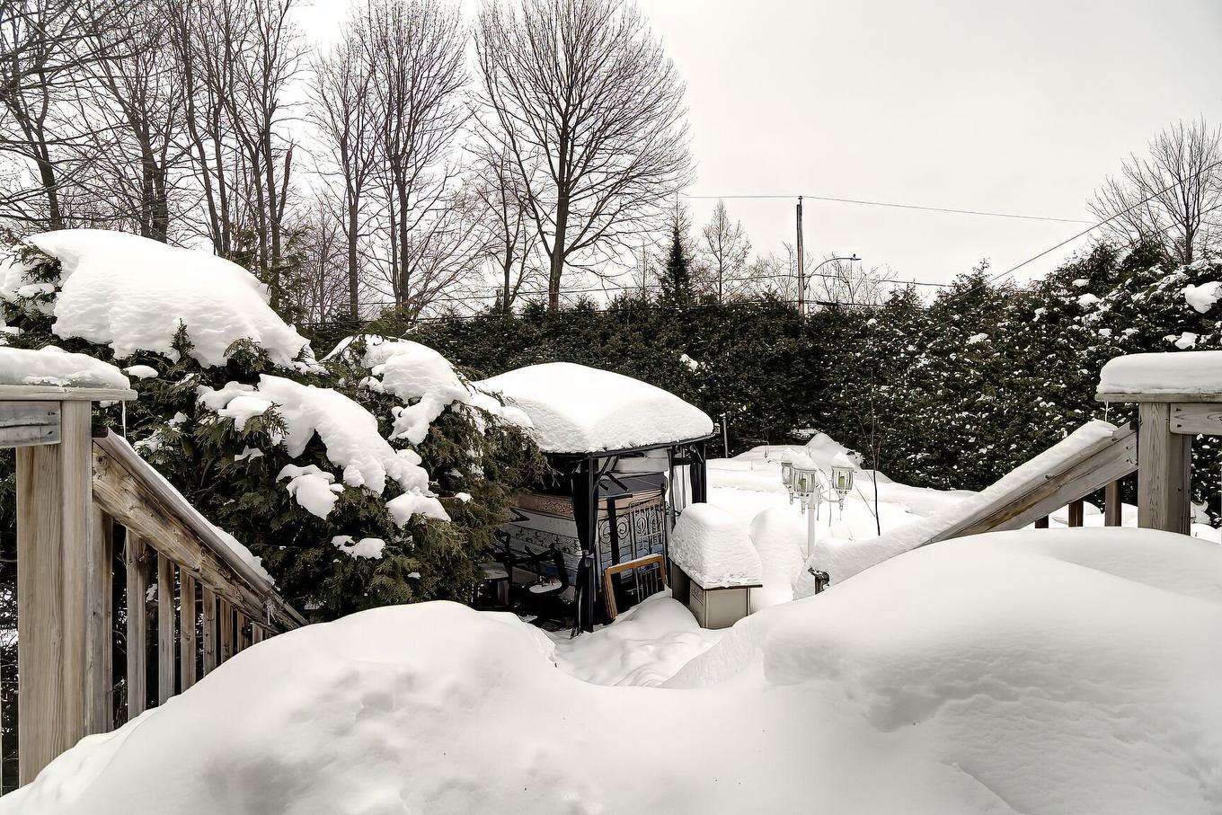 Backyard - 3261 Rue Du Lilas, Terrebonne (La Plaine), QC - Outdoor