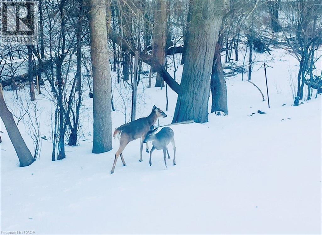 Winter views from dining room window - 33 Manitoulin Crescent, Kitchener, ON - Outdoor