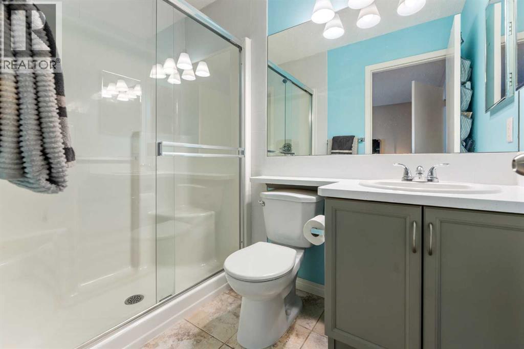133 Auburn Bay View Se, Calgary, AB - Indoor Photo Showing Bathroom