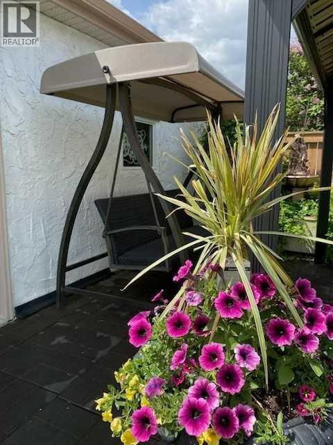 Summer flowers - 6311 Pineridge Road Ne, Calgary, AB - Outdoor