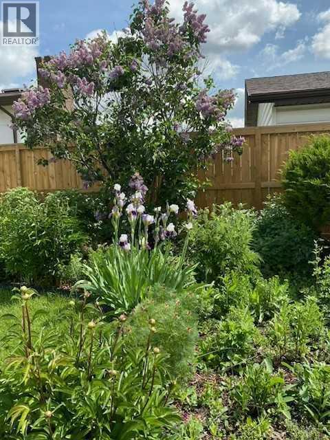 Garden plot - 6311 Pineridge Road Ne, Calgary, AB - Outdoor
