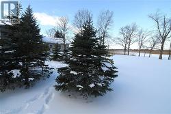 225 PORT MAITLAND Road Dunnville, ON N1A 2W6