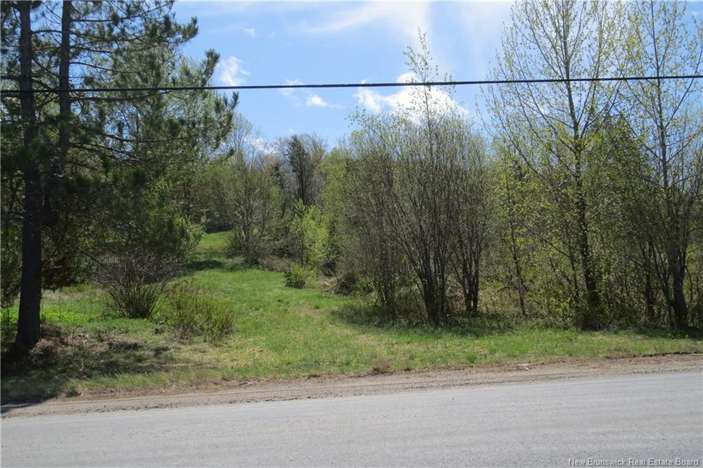 29 2Nd Ave, Napadogan, NB