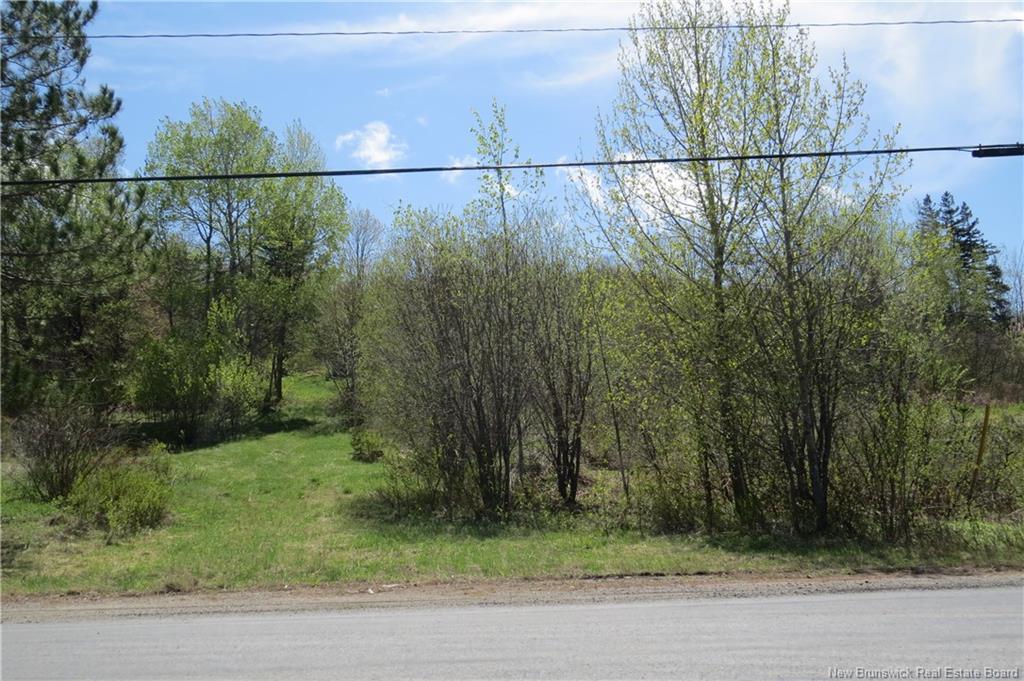 29 2Nd Ave, Napadogan, NB