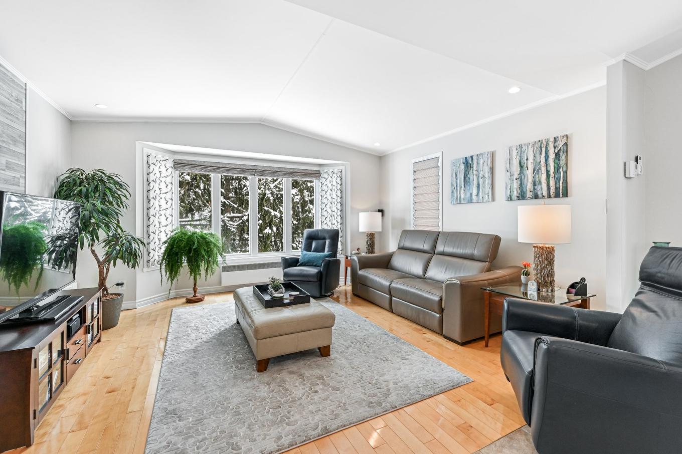 Salon - 2 Rue Des Pinsons, Venise-En-Québec, QC - Indoor Photo Showing Living Room
