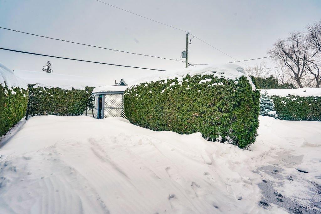 Cour - 26 Rue De L'Abbé-Desautels, Gatineau (Gatineau), QC - Outdoor